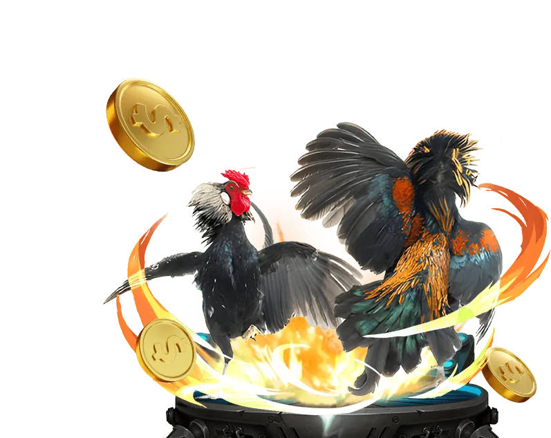 Cá Cược Thể Thao 8 team round robin bet